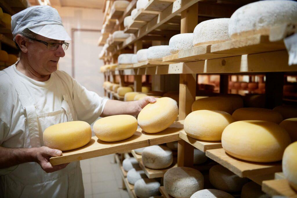 Käser im Lager mit Regalen voller Kuh- und Ziegenkäse